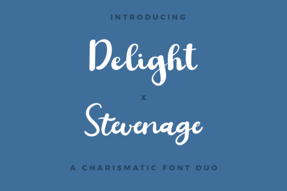 Delight X Stevenage Duo: Your Go-To Font Pairing